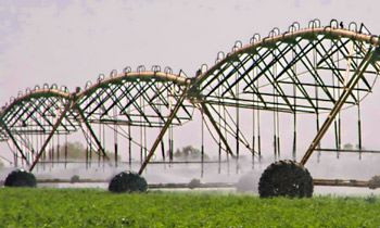 Irrigation Water